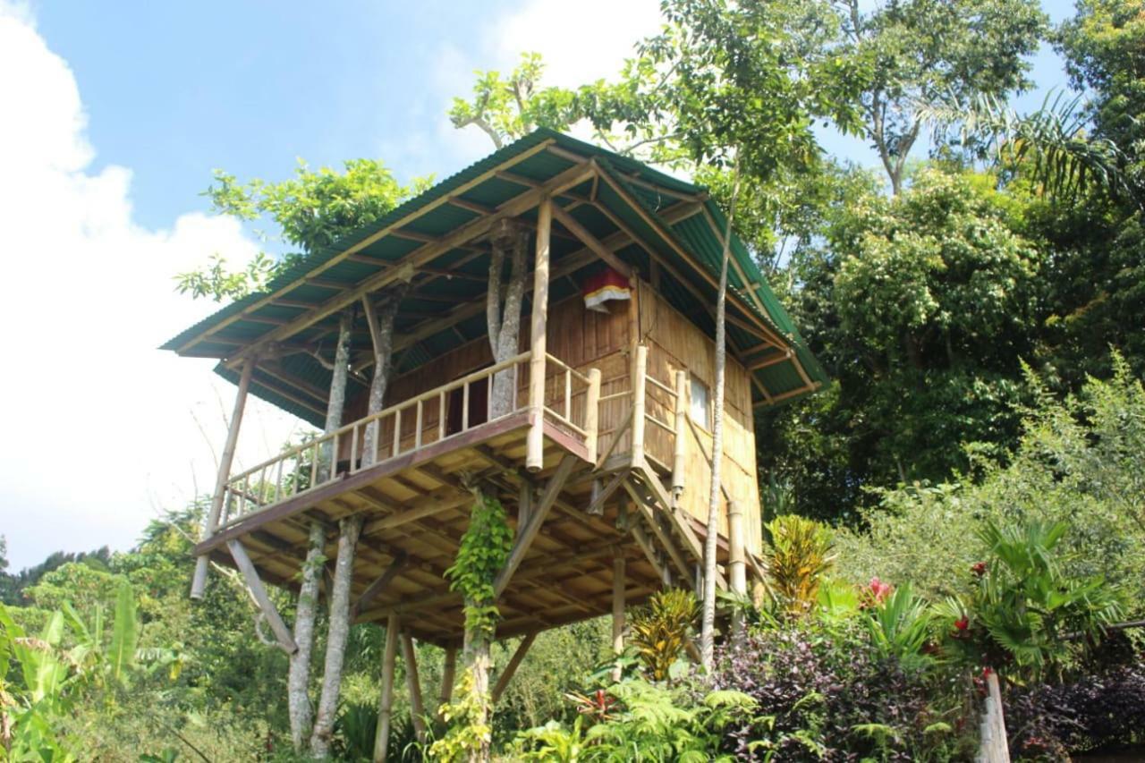 Bali Tree House Pelangi Bedugul (Bali) Exterior foto