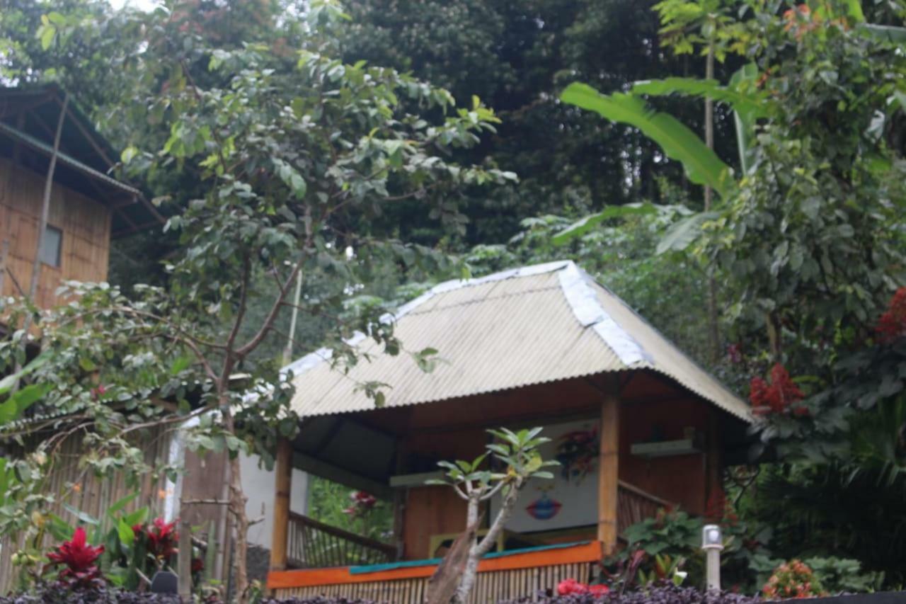 Bali Tree House Pelangi Bedugul (Bali) Exterior foto