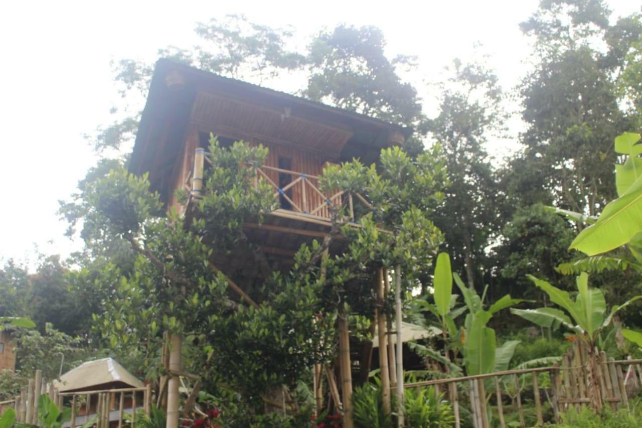 Bali Tree House Pelangi Bedugul (Bali) Exterior foto