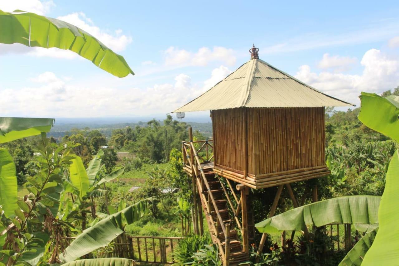Bali Tree House Pelangi Bedugul (Bali) Exterior foto
