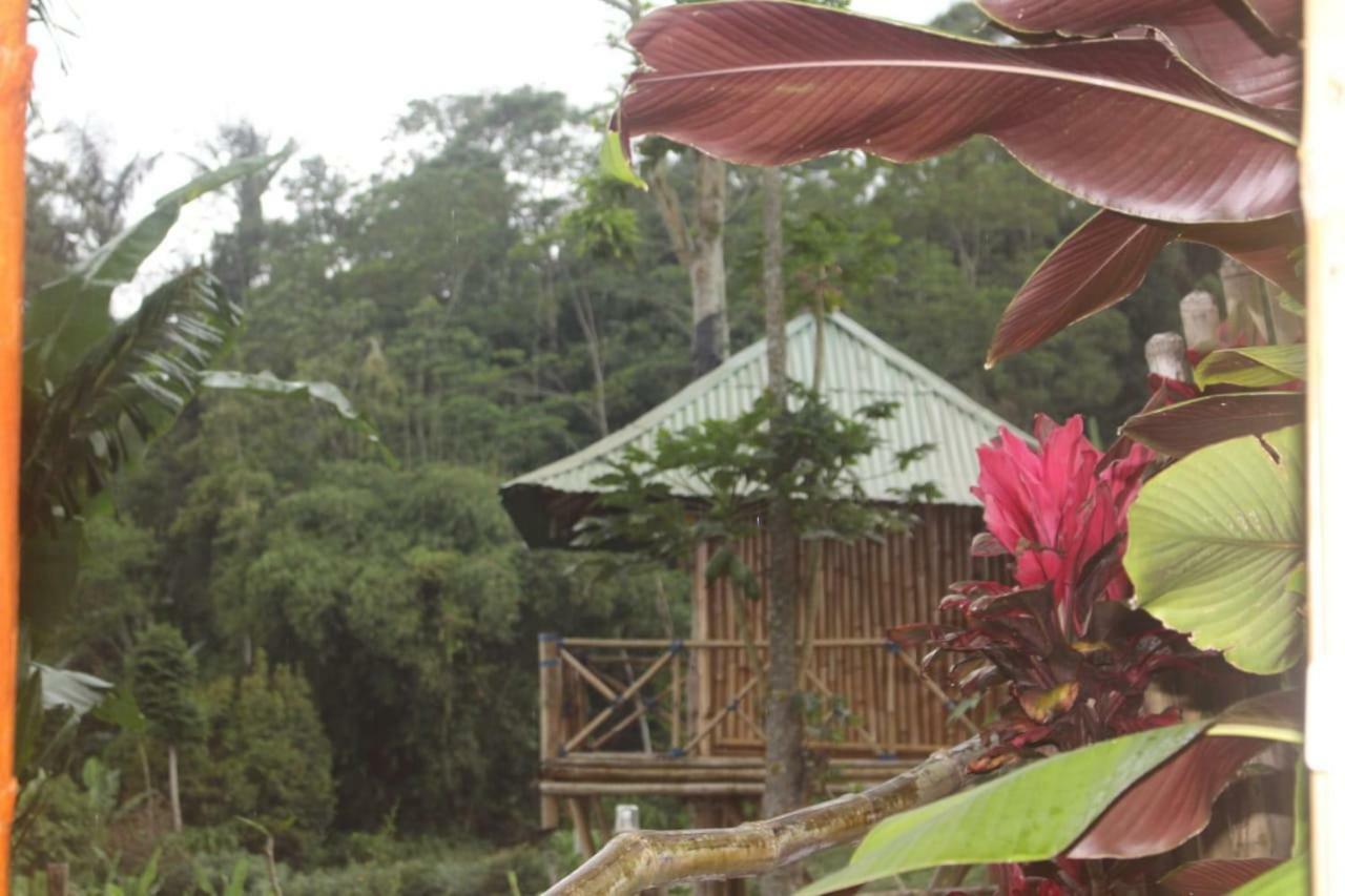 Bali Tree House Pelangi Bedugul (Bali) Exterior foto