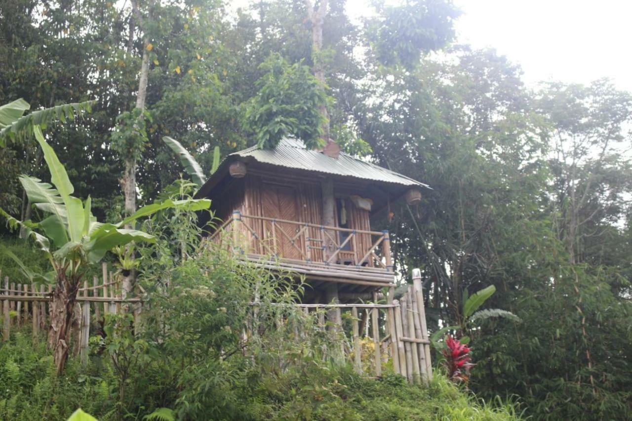 Bali Tree House Pelangi Bedugul (Bali) Exterior foto