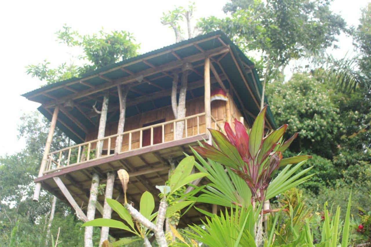 Bali Tree House Pelangi Bedugul (Bali) Exterior foto