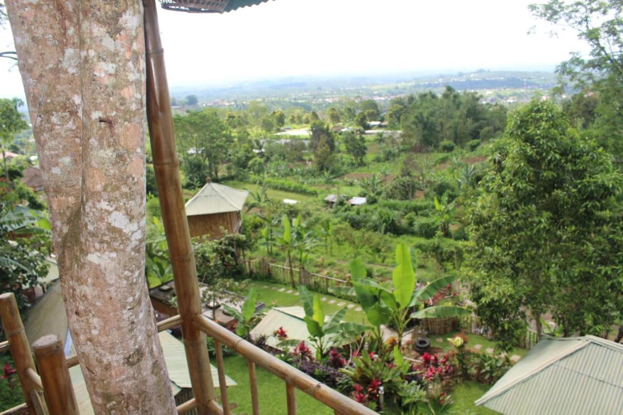 Bali Tree House Pelangi Bedugul (Bali) Exterior foto