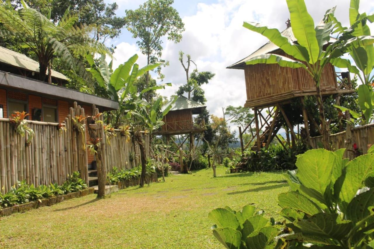 Bali Tree House Pelangi Bedugul (Bali) Exterior foto