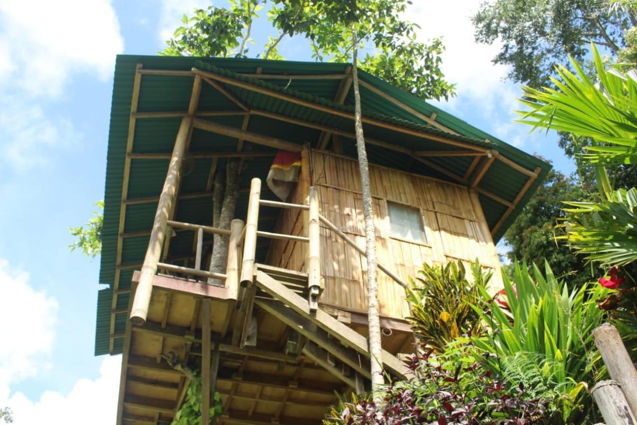 Bali Tree House Pelangi Bedugul (Bali) Exterior foto