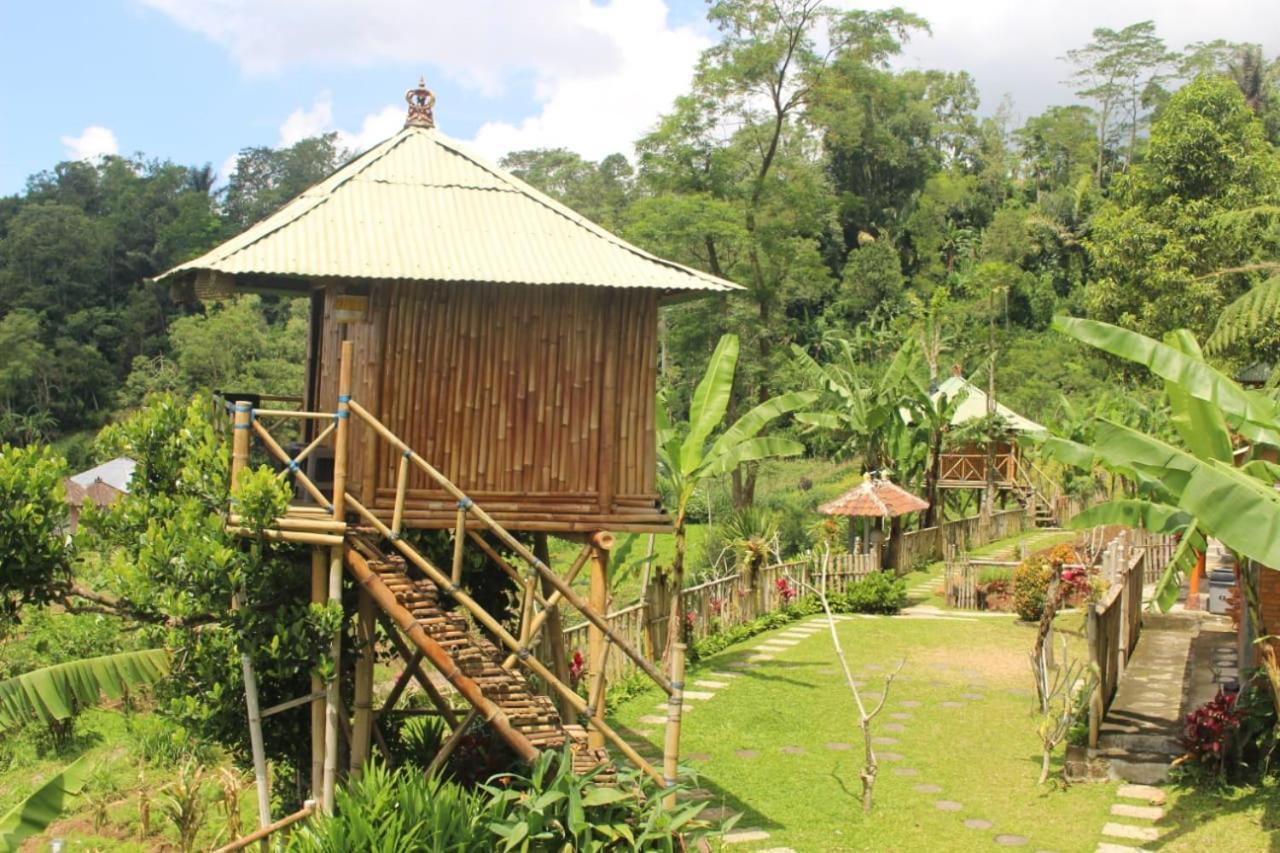 Bali Tree House Pelangi Bedugul (Bali) Exterior foto